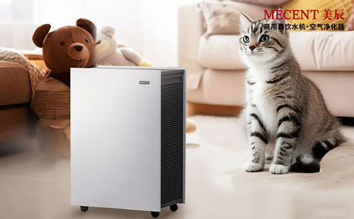 宠物家庭除味攻略：活性炭滤网真的能搞定宠物异味吗？